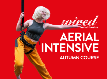 Aerial Intensive